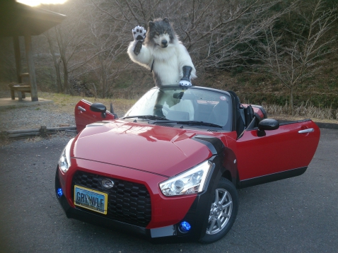 初の自腹で車買いました 掲示板 Copen Club Copen Brand Fan Community